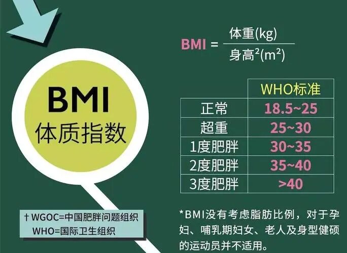 身高體重BMI